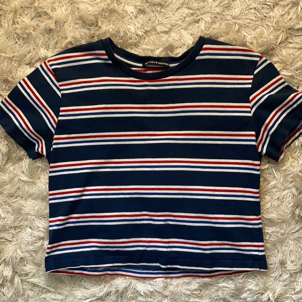 brandy melville crop top